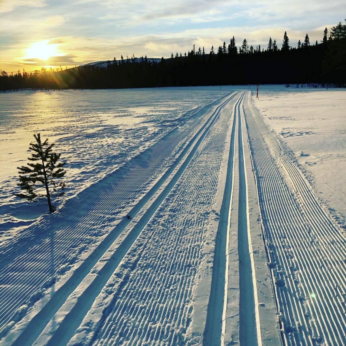 Certifierad skidcoach Arne Nordli - Träningar i längd och rullskidor, både personliga och i grupp i Stockholm, Danderyd